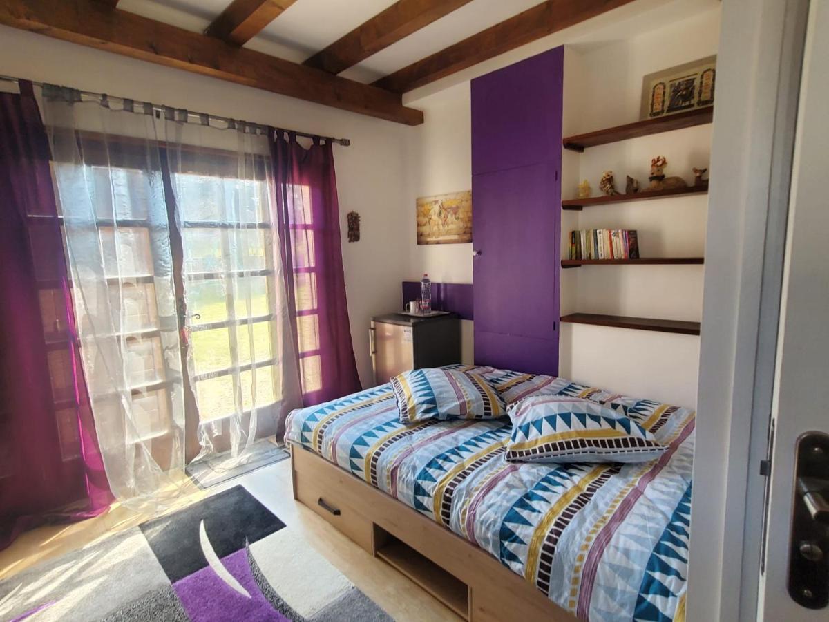 Maison Le Lezard Chez Amalia Et Fred Тонон-ле-Бен Экстерьер фото